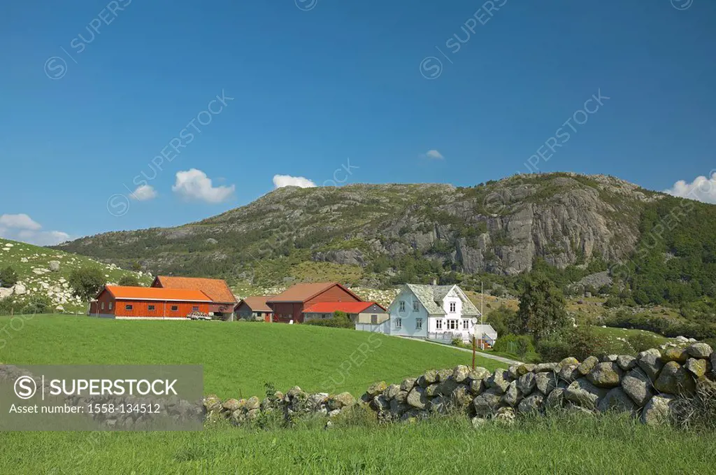 Norway, Lysefjord, mountain scenery, residences, Scandinavia, southwest-coast, coast, landscape, mountains, residences, meadow, rock, stone-wall, natu...