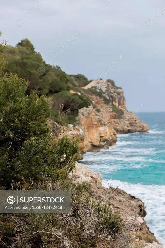 Coast, sea, the Mediterranean Sea, Majorca, Spain, the Balearic Islands