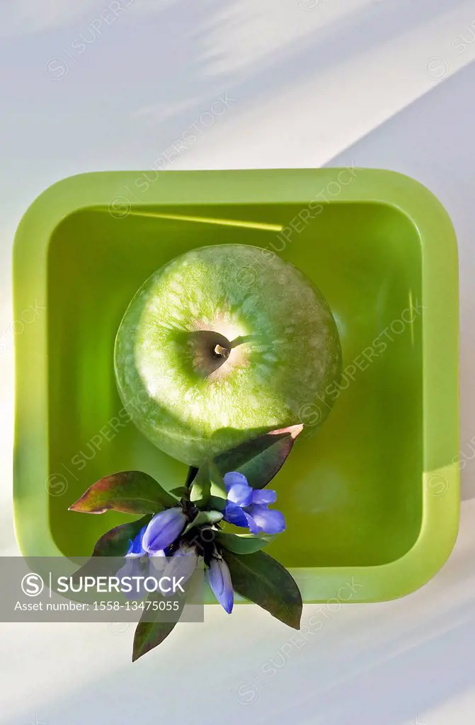 Green apple in green bowl