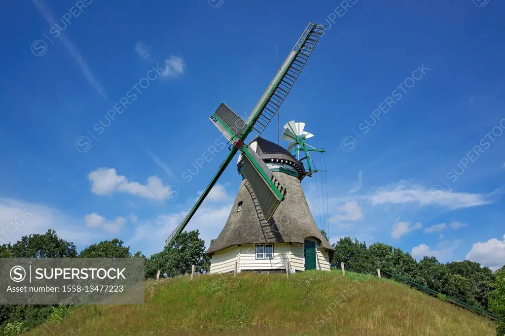 straw roofed windmill 'Edda' close St. Michaelisdonn,
