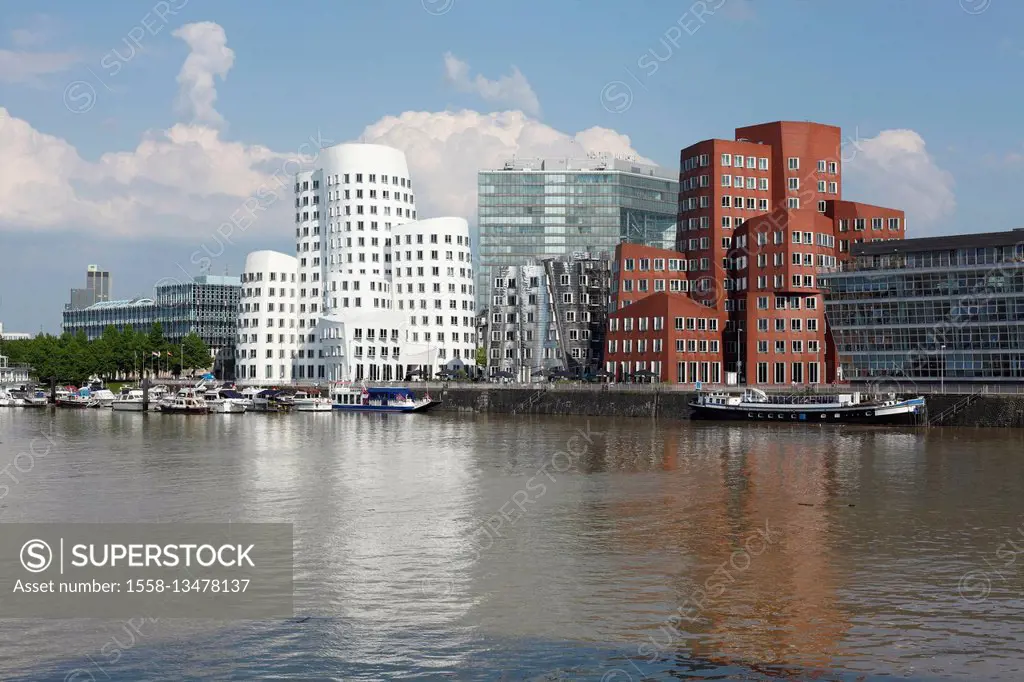 Media Harbour, Media Harbor with Gehry buildings, Gehry Bauten, Düsseldorf, North Rhine-Westphalia, Germany, Europe