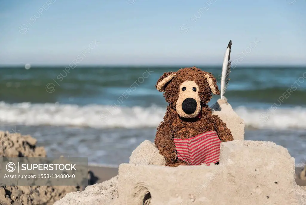 Teddy in beach castle, in the background the Baltic Sea,