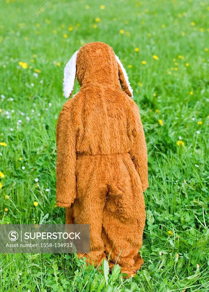Child, disguise, Easter bunny, stands, back view, series, 4-5 years, outfit, hare-outfit, hare-ears, Hasi, little hare, little Easter bunny, Osterhasi...