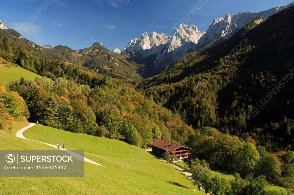 Austria, Tyrol, emperor-valley, farm, gaze, Wilder Kaiser, autumn, Kaiser-mountains, mountains, mountain scenery, farmhouse, residence, way, forest-st...