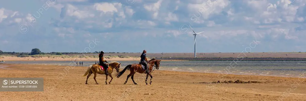 rider on the beach of Rockanje, the Netherlands, Holland, South Holland, Rockanje