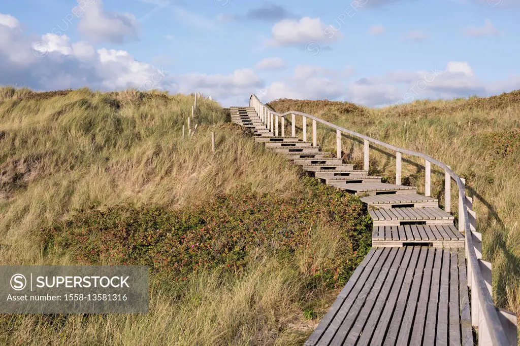 Sylt, Travel, Germany, Rantum, beach, way through dunes, dune stairs, way, stairs, dune grass