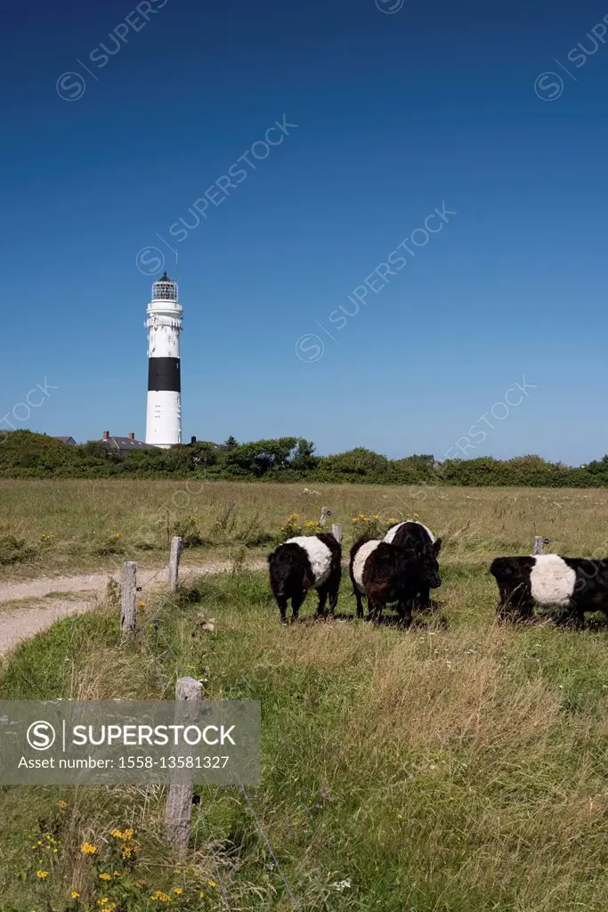 Sylt, lighthouse on Sylt, navigation, warning sign, beacon, lighthouse, navigation, Kampen village, lighthouse of Kampen