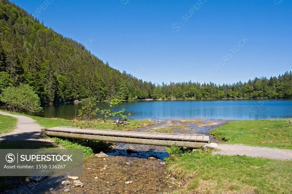 Germany, Black forest, field-mountain, field-lake, detail, summer, Baden-Württemberg, landscape, nature, lake, mountain lake, Karsee, forest, Mischwal...