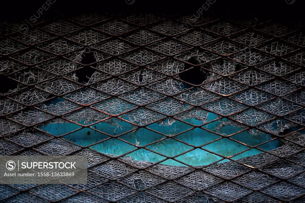 Face,eyes,mouth,grating,smile,blue,fence