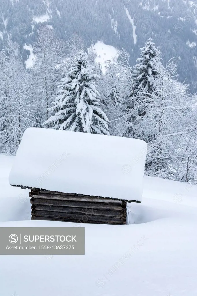 Austria, Vorarlberg, Montafon, Silbertal, wooden hut in the Kristberg