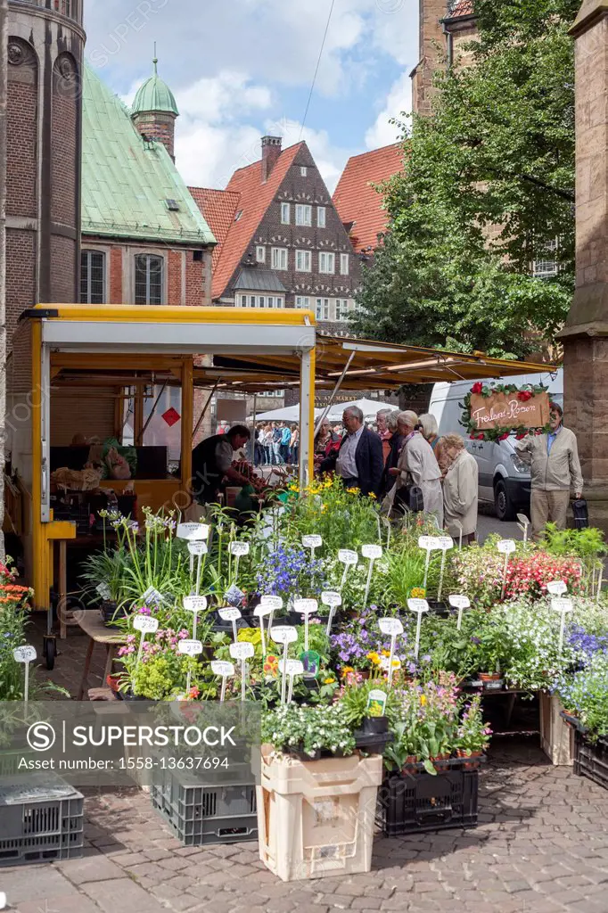 view from the flower market to the city hall and the Obernstrasse with the west-side of the 'Marktplatz', Bremen, Germany, Europe