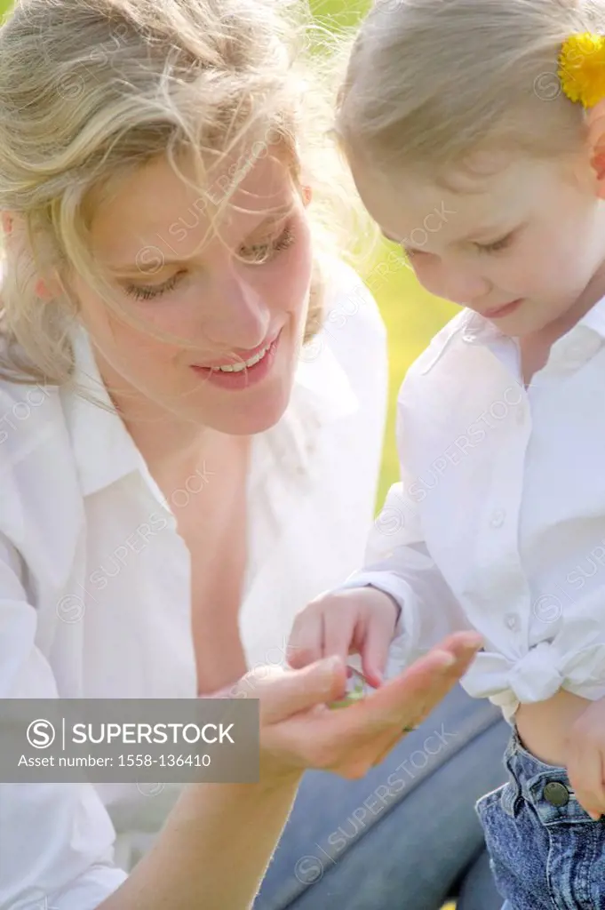 Meadow, mother, daughter, palm, insect, views, broached, spring, people, woman, child, girl, blond, hand, animal, bugs, looks at, shows, interest, lea...
