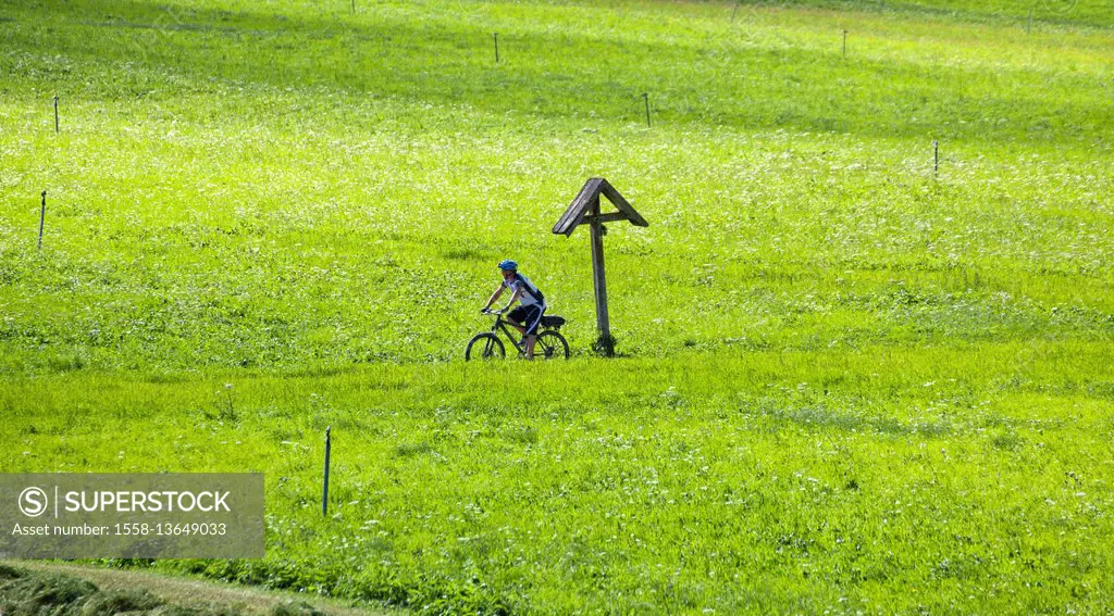 biker crosses meadows