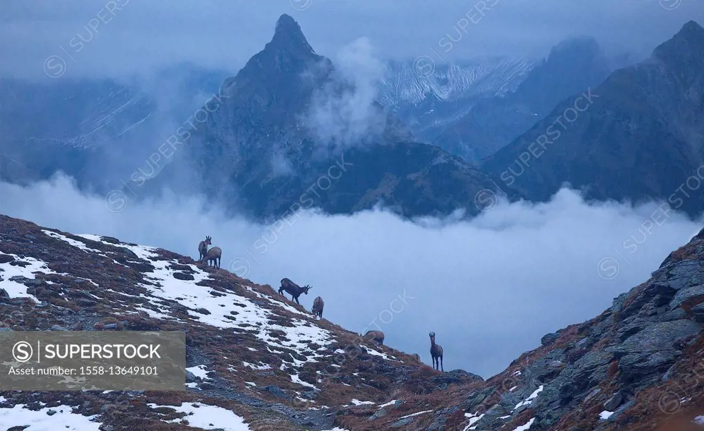 Austria, Tyrol, Oberinntal (region)