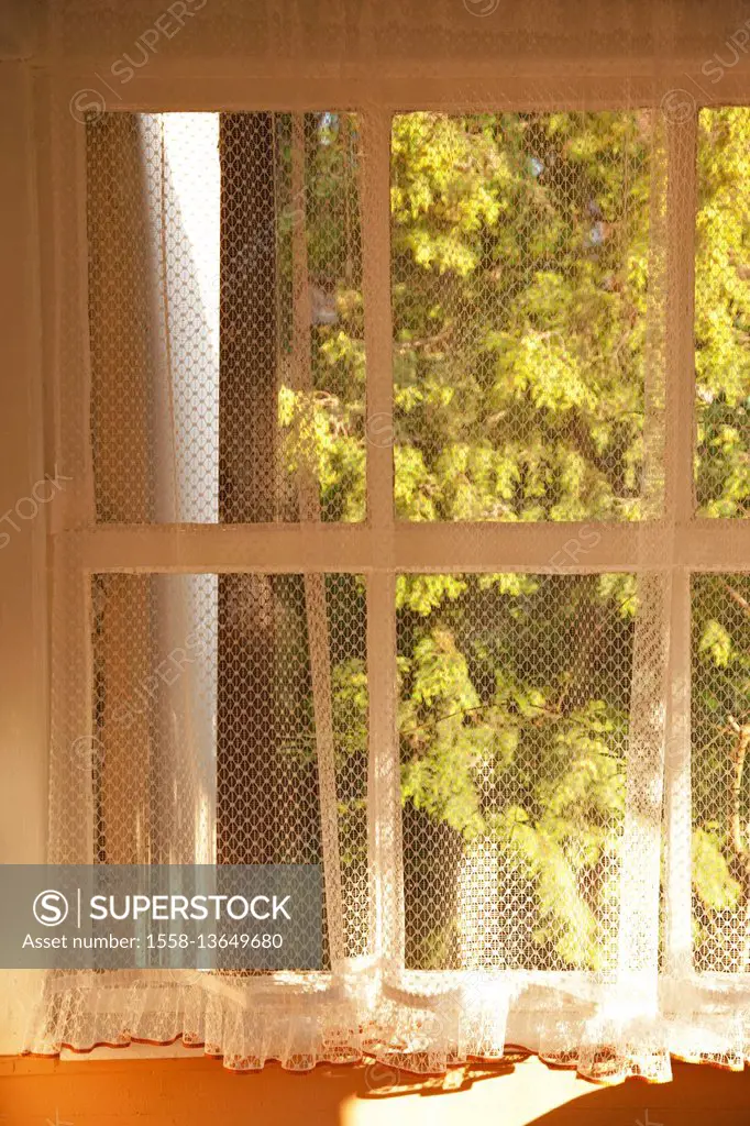 Windowsill, window, transom window, curtain