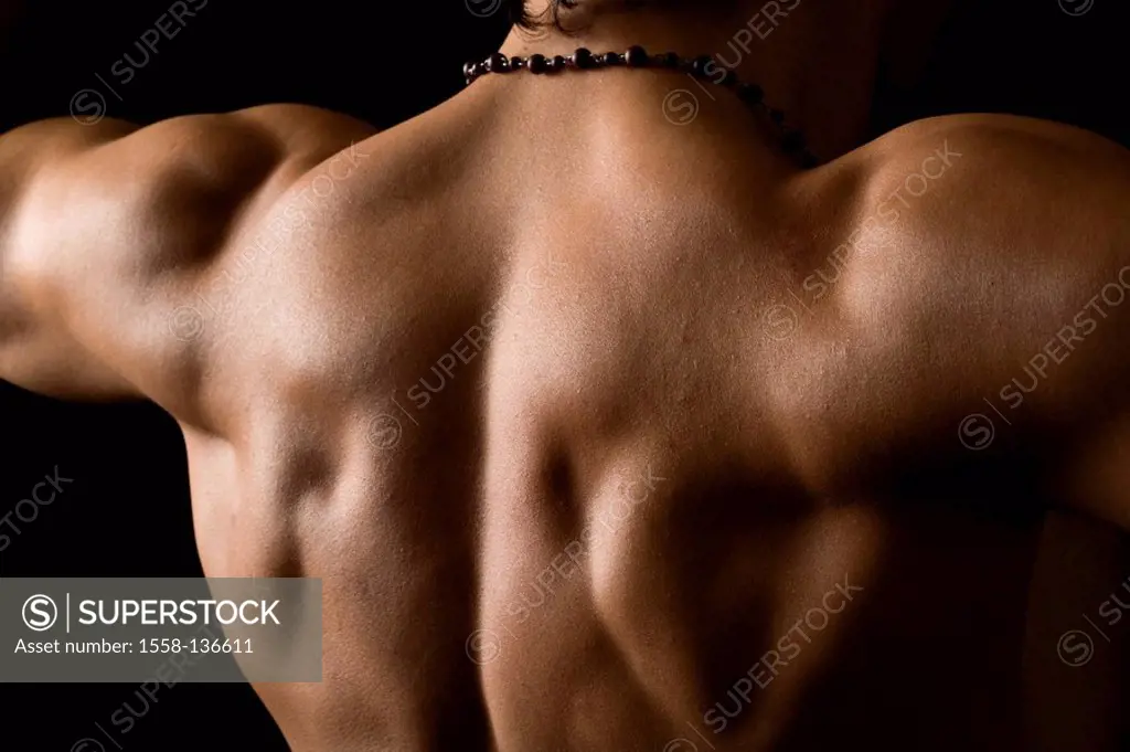 Man, young, upper body freely, back view, detail, series, people, young, chain, athletically, athletically, durchtrainiert, muscles, muscular, Bodybui...