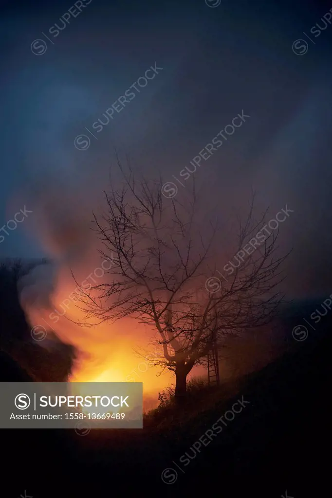 Fire on a mountain at night with smoke and fumes in front of a tree