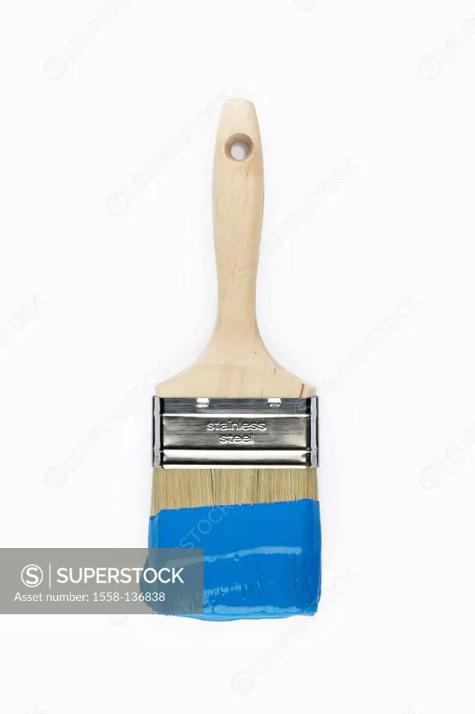 Brushes, lacquer-color, blue, craft, home-works, Do-it-yourself, painter-accessories, painter-utensils, painter-tools, accessories, renovates, cancels...