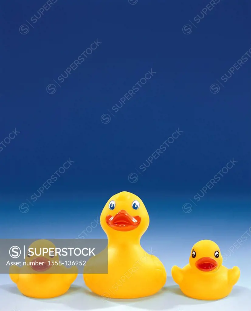 Rubber-ducks, yellow, size-difference, side by side, duck-family, toy, bath-toy, water-toy, ducks, de little three swimming-animals Spielenten toy-duc...