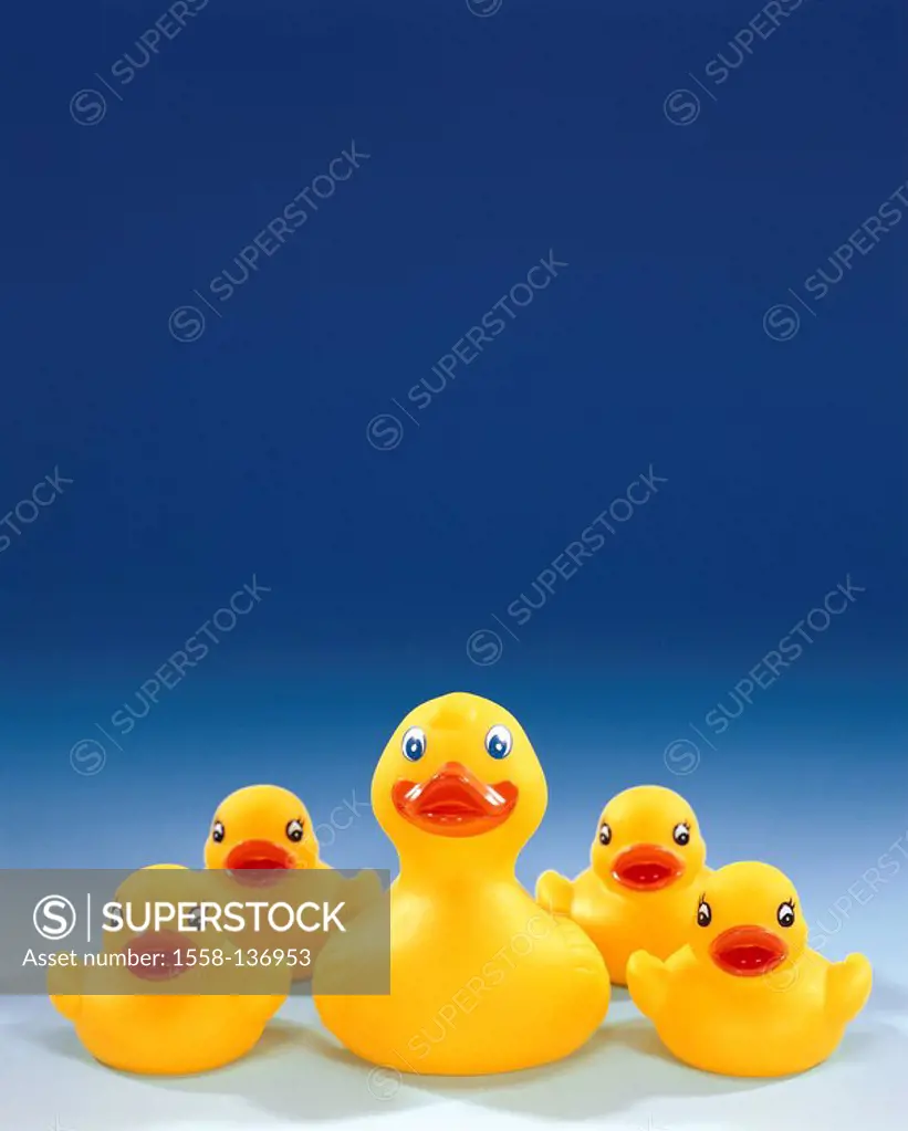 Rubber-ducks, yellow, size-difference, duck-family, toy, bath-toy, water-toy, ducks, de little, five, swimming-animals, Spielenten, toy-ducks, bathtub...