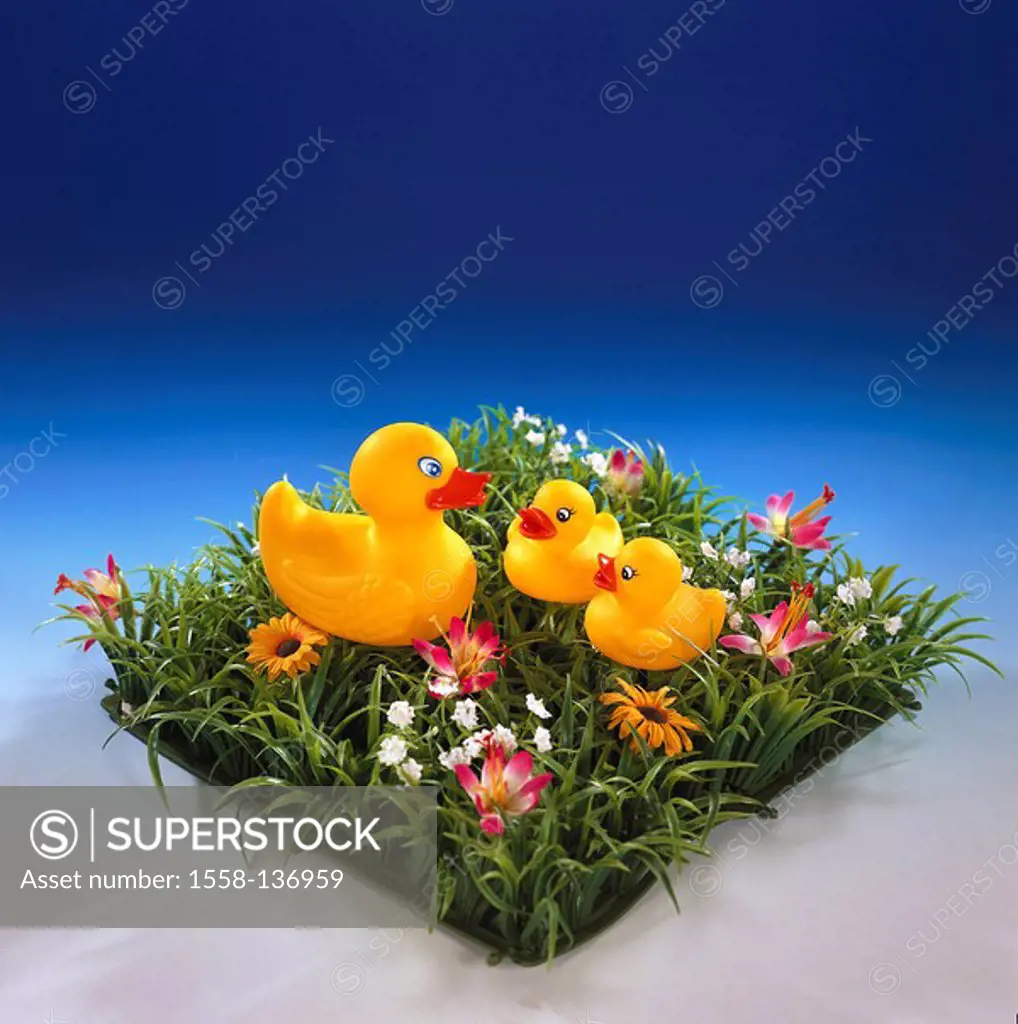 Rubber-ducks, yellow, duck-family, flower meadow, artificially, toy, bath-toy, water-toy, ducks, de little, three, size-difference, swimming-animals, ...