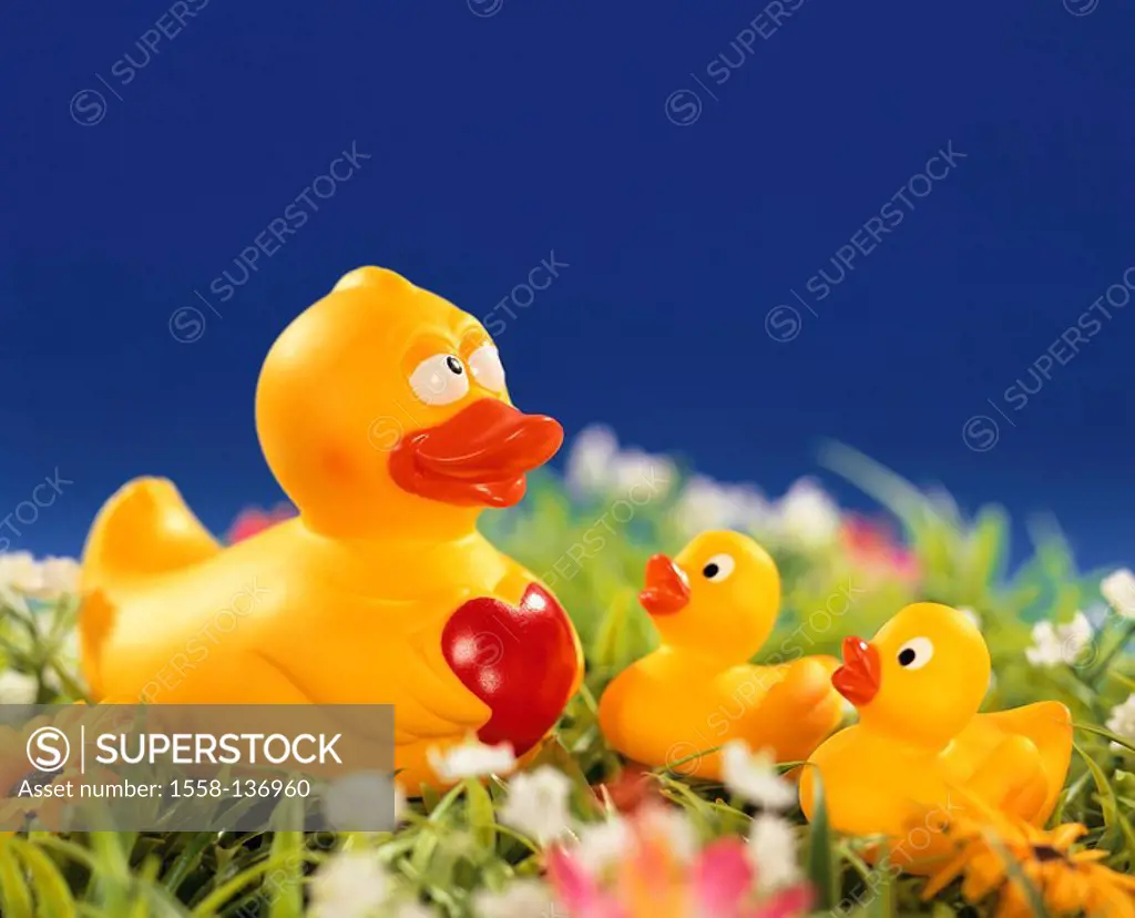 Rubber-ducks, yellow, duck-family, flower meadow, artificially, toy, bath-toy, water-toy, ducks, de little, three, size-difference, swimming-animals, ...