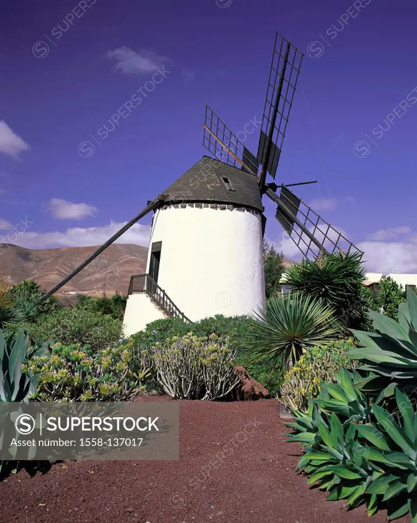Spain, Canaries, island Fuerteventura, Antigua, Centro de Artesania, windmill, Molino de Antigua, garden, plants, resort, destination, grounds, vegeta...