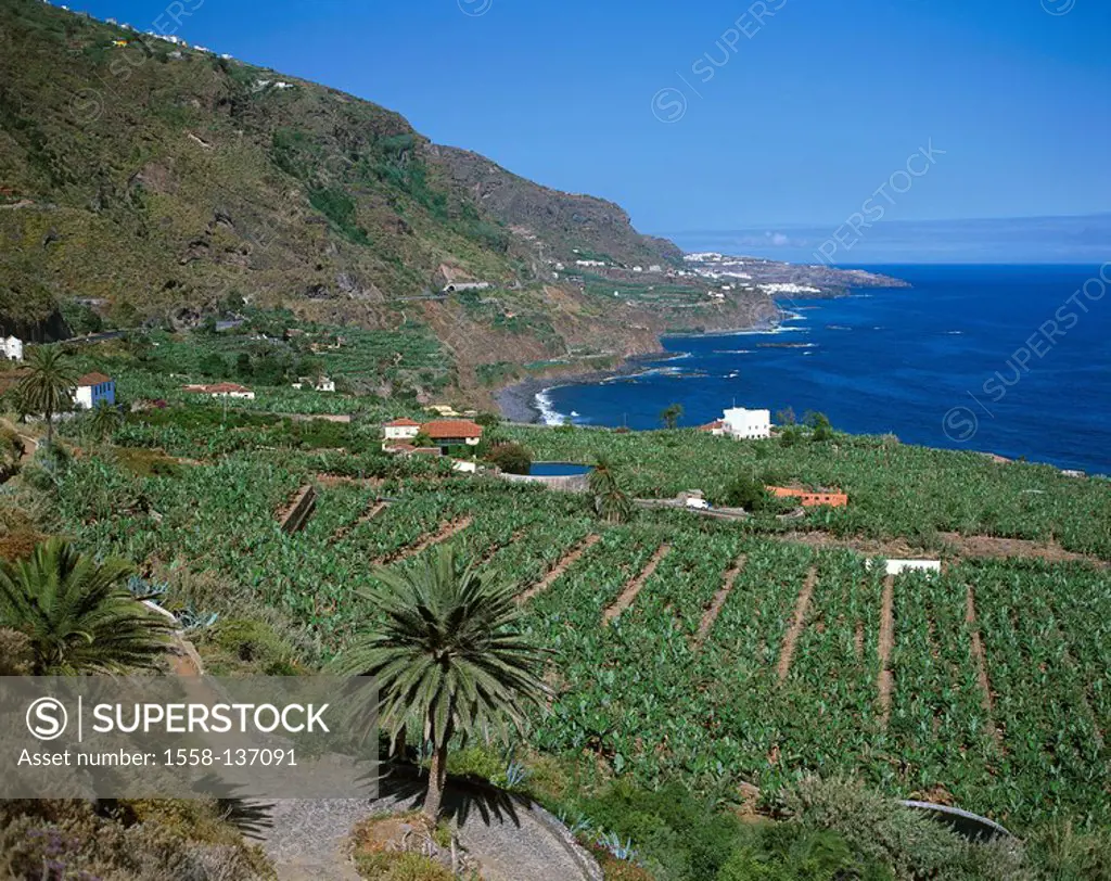 Spain, Canaries, island Tenerife, Puerto de la Cruz, coast, banana-plantation, overview, lake, volcano-island, Meeresküste, coast-landscape, rock-coas...
