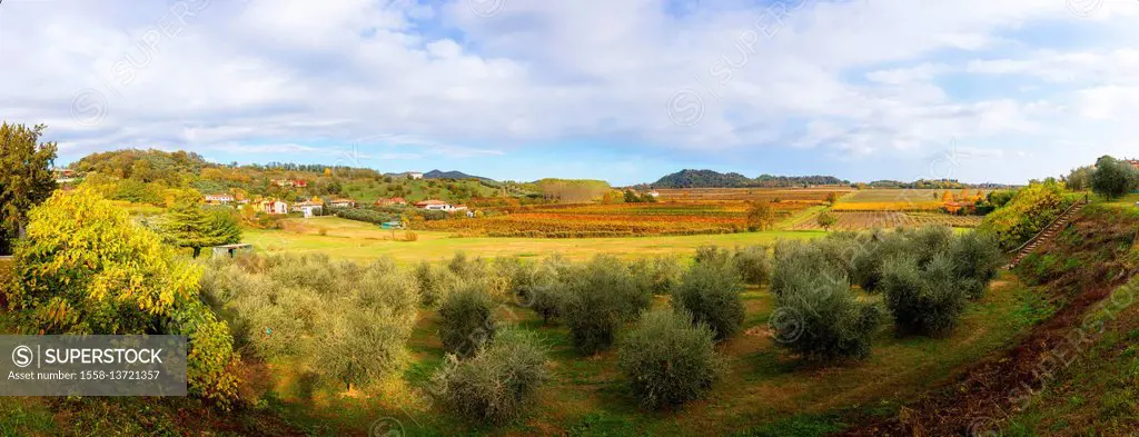 View from Galzignano Terme to the vineyards in the plain, Italy, Veneto,