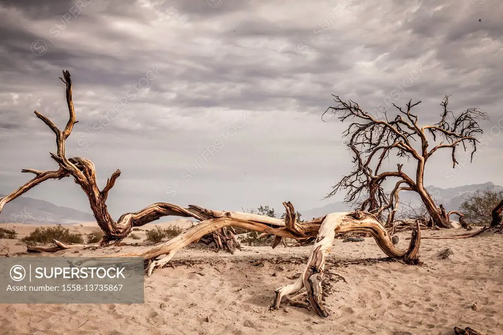 USA, California, Death Valley, desert, drought