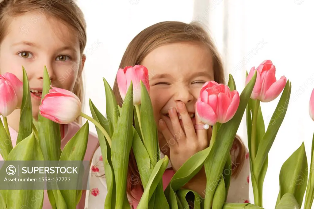 girl, two, tulips, laughs, portrait, broached, series, people, children, friends, siblings, sisters, long-haired, cheerfully, happily, enjoyments hide...