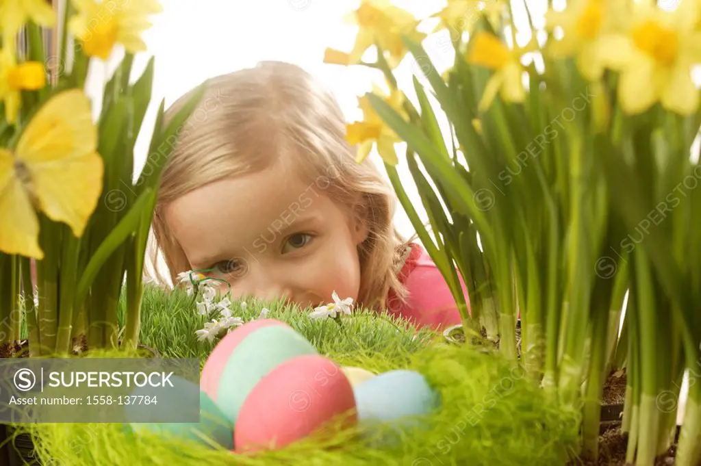 Easter, girl, laughs, Easter-nest, eggs, narcissus, seeks detail, series people child flowers Easter-bells, spring-flowers, Easter eggs, colorfully, c...