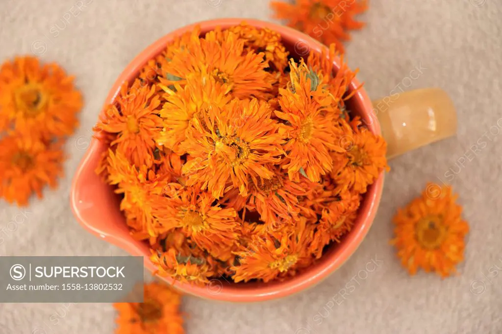 Dry marigolds