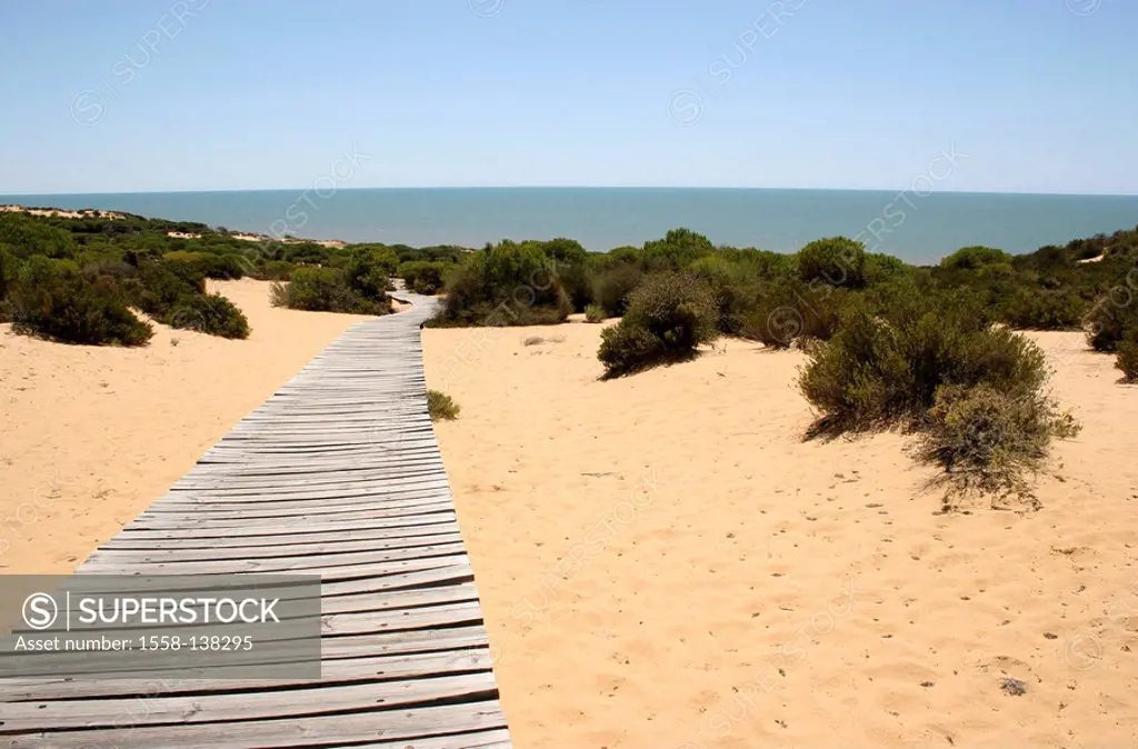 Spain, Andalusia, El Rocio, beach, dunes, way, Europe, destination, Costa de la Luz, place of pilgrimage, tourism, sandy beach, dune-grass, lake, heav...