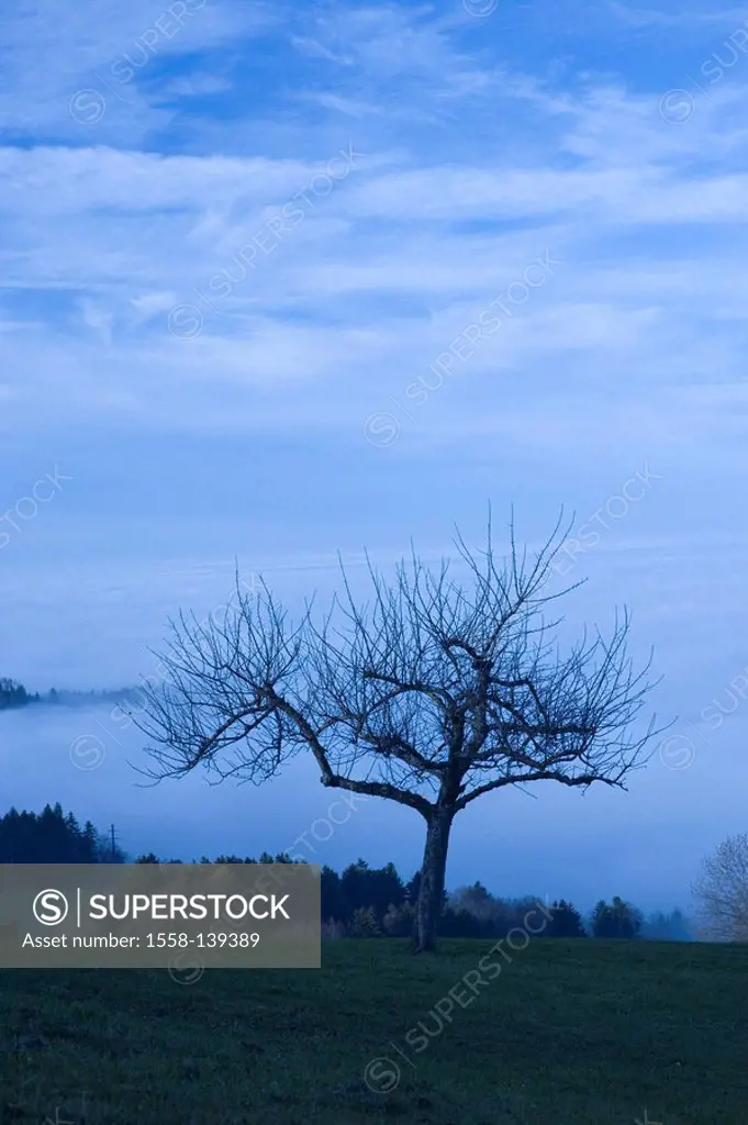 Switzerland, St  Gallen fog-sea,
