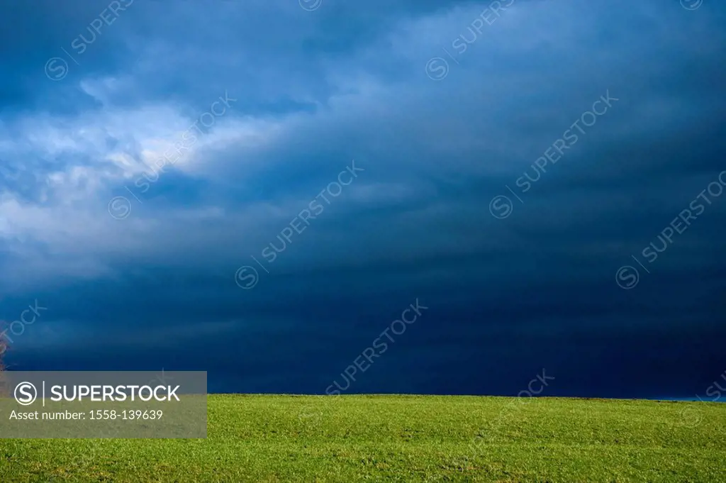 Meadow, stormy atmosphere,