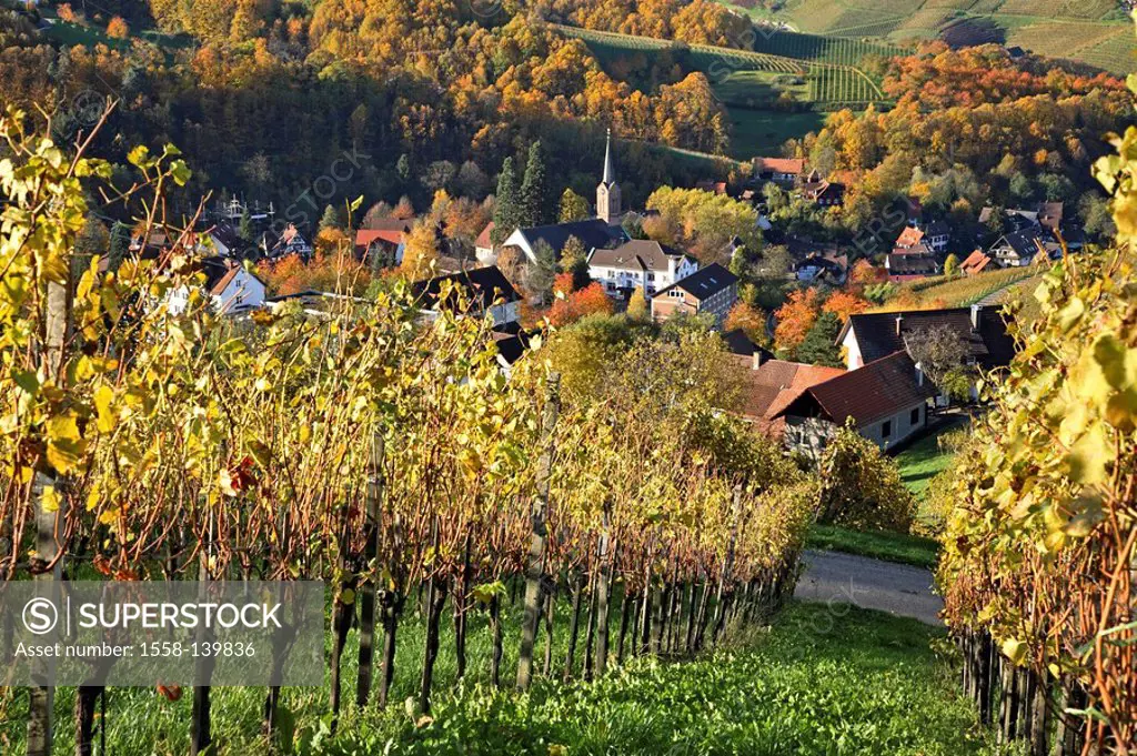 Germany, Baden-Württemberg, Sasbachwalden, locality perspective, vineyards, detail, place, church, wine-place, wine-growing, wine-growing-area, season...