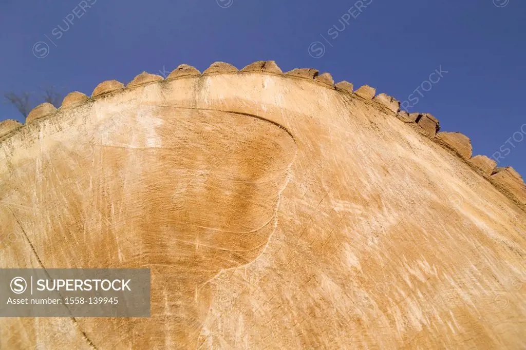 Detail pleases log, poplar, cut,
