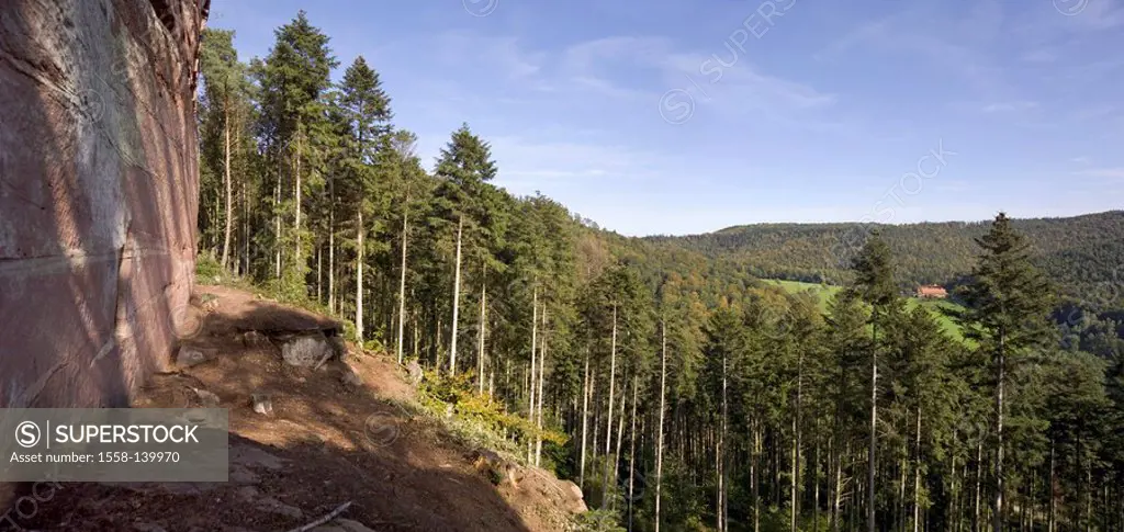 France, Alsace, landscape, nature, footpath, gaze Gimbelhof,