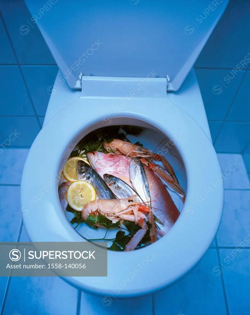 Toilet, opened, fish, seafood, food-fish, Brasse, mackerel, emperor-garnet, lemon, lemon slices, parsley, concept, waste disposal, discards, disgust, ...