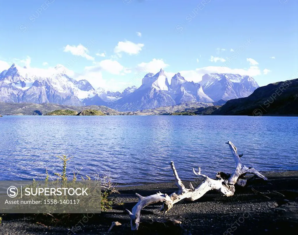 Chile, Patagonia, Torres Del Paine national-park, brine Pehoe shores root South America Latin America, destination, sight, nature, landscape, UNESCO-W...