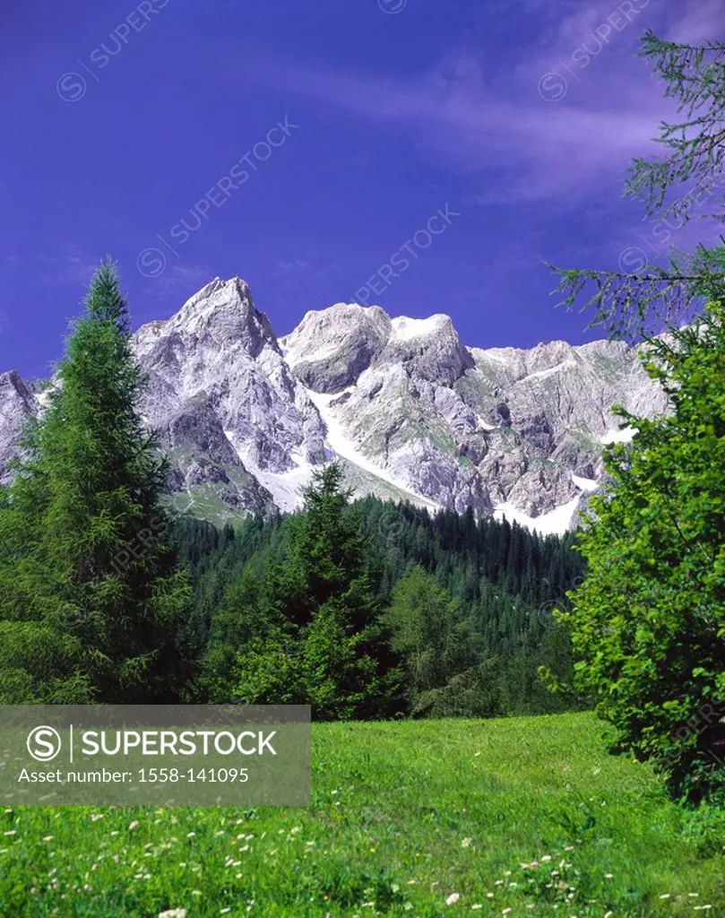 Austria, Tyrol, Stanzertal, mountain scenery, summer, meadow, mountain-forest, forest, mountains, mountain, iron-top, nature, deserted, silence, silen...