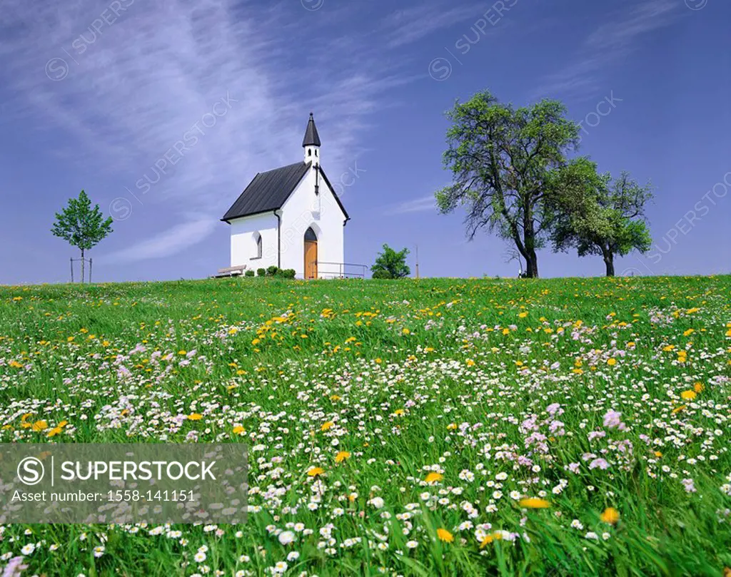 Germany, Upper Bavaria, Chiemgau, Söllhuben, flower meadow, chapel, spring, Bavaria, field-landscape, spring-flowers, rise, church, deserted, silence,...