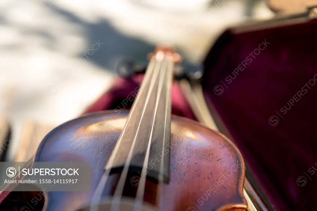 Violin in the violin case