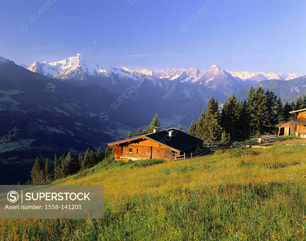 Austria, Tyrol, Zillertal, Mayrhofen, height-street, Alm, valley-gaze, mountain scenery, mountains, mountain-meadow, wood-alm, alm, rural, idyll, isol...