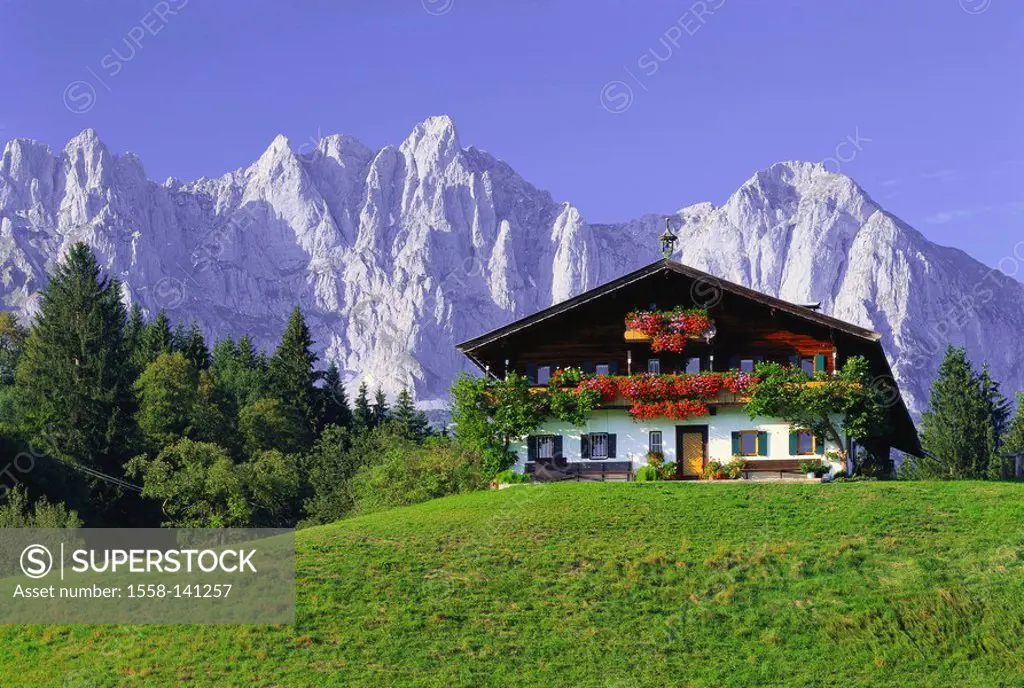 Austria, Tyrol, Kaiser-mountains, mountain-farm, summer  Alps, mountain scenery, mountains, house, residence, farm, rural, idyll, gaze, Ackerlspitze, ...