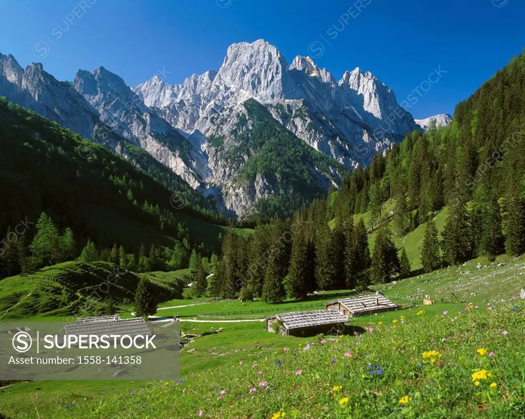 Germany, Berchtesgadener land, Ramsau, Bindalm, summer, Bavaria, mountain scenery, mountains, mountain-meadow, Alm, wood-alms, destination, traveling-...