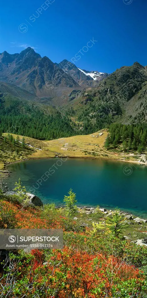 Italy, South-Tyrol, Ultental, Fischersee, rear harrow-top, mountain scenery, mountains, mountain-forest, mountain-meadow, lake,mountain lake, deserted...