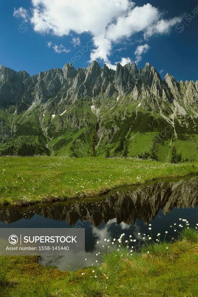 Austria, Salzburger Land, Hochkönig, mountain-meadow, Mühlbach, summer, mountains, high mountain regions, mountain scenery, Arturhaus, waters, brook, ...
