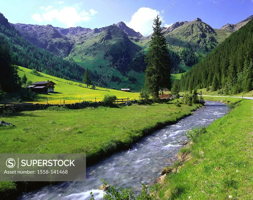 Austria, Tyrol, Villgratental, Unterstalleralm, summer, Alps, East-Tyrol, mountains, mountain scenery, Alm, alm, Almhütte, house, mountain-brook, natu...